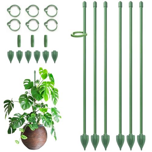 RIFNY Plant Stakes for Indoor Plants, 14 Inch Plant Support Stakes, 6 PCS - color: Green, size: 14IN 6PCS