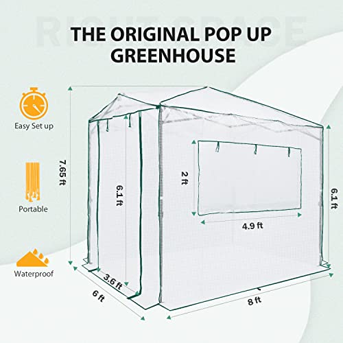 EAGLE PEAK 8x6 Easy Setup Pop Up Greenhouse, Clear/White - color: Clear/White, size: 8x6