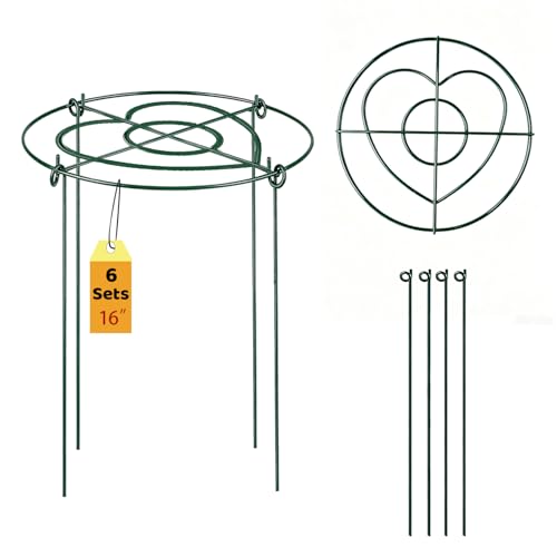 (6 Sets) Peony Cages and Supports, 16" Diameter, 4 x 24 Inches Legs, Heavy Duty Rust-Proof Grow Through Plant Support for Outdoor Flower Plants, Metal Grid Ring Hoop for Peonies, Roses, Orchids - size: 16x24 Inch ( 6-Pack )