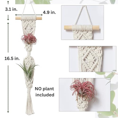 2 Tier 4 Pack Air Plant Holder, Air Plant Wall Hanger - color: White, size: 2-Tier