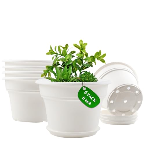 Pottiffe Plant-Pots-Planters-Indoor-Outdoor, 6 inch 6 Pack White - color: White, size: 6 inch-6Pack