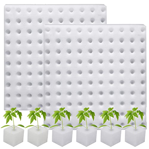 200 Pack Hydroponic Sponge Planting Tool Square Seedling Sponges Greenhouse Hydroponic Sponge Hydroponic Vegetable Planting Sponge for Small Bud Growth