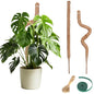 Moss Pole Monstera Plant Support 2 Pack 28 Inch Bendable Moss Pole for Monstera Plants Indoor Handmade Coco Coir Pole Plant Sticks Support Stakes for Potted Plants Philodendron to Grow Upwards - size: 28" with jute rope and straps