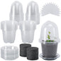 EBaokuup 20 Pack Self Watering Seed Starter Pot, 3 Inch Automatic Watering Plant Nursery Pots with Humidity Dome, Self Watering Nursery Pots for Potted Plants Seed Germination - color: 20 Pack-clear