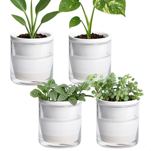 D'vine Dev Self-Watering White Terracotta Planter, 4 in, 4-Pack, 37-Z-A-2-F - color: White