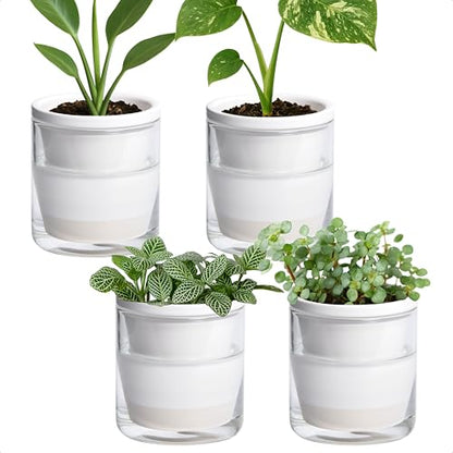 D'vine Dev Self-Watering White Terracotta Planter, 4 in, 4-Pack, 37-Z-A-2-F - color: White