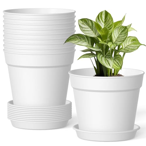 10 Pack 6 Inch Plant Pots with Drainage and Saucers, White Plastic Flower Pots for Indoor and Outdoor Plants, Stackable Nursery Planters for Houseplants and Herbs, White - color: White, size: 10-Pack
