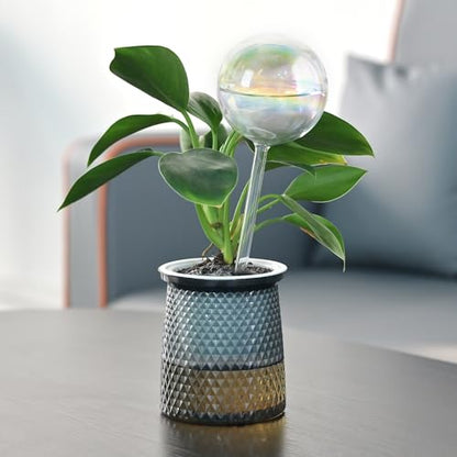 Glass Self Watering Globes,Automatic Plant Waterer for Vacation & Daily - size: Medium Size 4-Pack