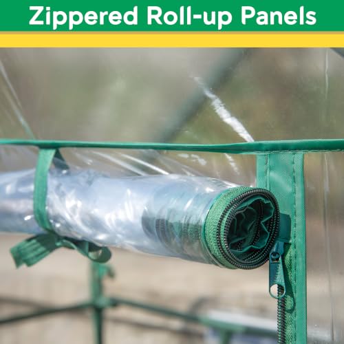 Miracle-Gro Walk-in Greenhouse, Removable Shelves, Transparent, 4'8" Square - size: 4'8" x 4'8" x 6'5" - Translucent
