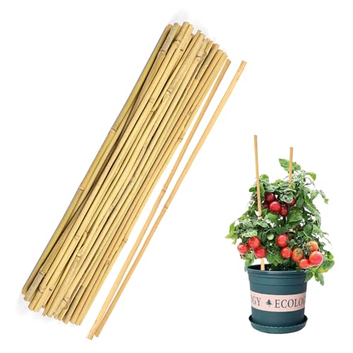 Cambaverd Bamboo Sticks for Plant 16in, Natural Bamboo Stakes, 40 Pack