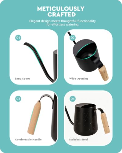 Baffect Watering Can Indoor Plants with Long Spout, 1L / 35oz (Black) - color: Black