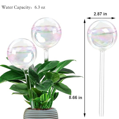 Glass Plant Watering Device, Planter Self Watering Globes for Home Potting - color: R.Clear Glass 6pcs