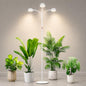 LORDEM Full Spectrum Grow Light with Stand for Indoor Plants, Up to 70 in