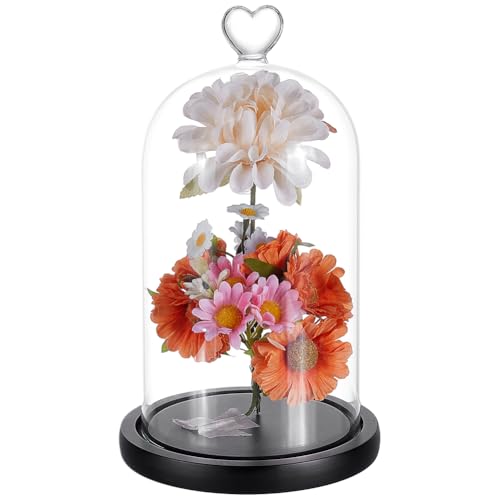 UNICRAFTALE Clear Cloche Glass Dome 4.8"x9.05" Glass Dome Cloche Antique Collectibles Dome Showcase Decorative Bell Jar with Heart Handle for Plants Fairy Lights Table Decor Medal Photos - size: 12.3x23cm