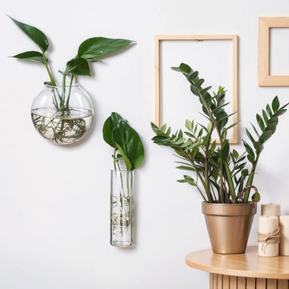 Baderke 6 Pcs Glass Wall Hanging Vase with Suction Cup Plastic Invisible