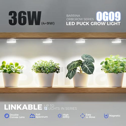 Barrina OG09 Puck Grow Light, 36W(4 x 9W), 5000K, Timer, 4 Packs, White - color: 5000K-White Cover, size: 4 Packs with Timer
