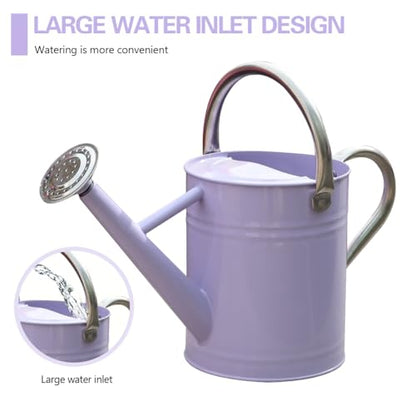Metal Watering Can 1 Gallon for Outdoor Garden Plants,Purple - color: Purple With Stainless Steel Handle