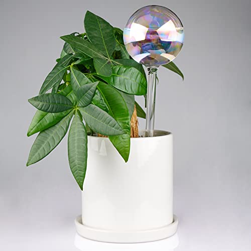 [6 PCS] Light Iridescent Rainbow Gradient Color Clear Glass Self-Watering System Spikes, Automatic Plant Waterer Bulbs - color: Iridescent 6-Pack