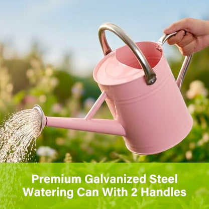 1 Gallon Watering Can for Outdoor&Indoor Plants，Pink - color: Pink