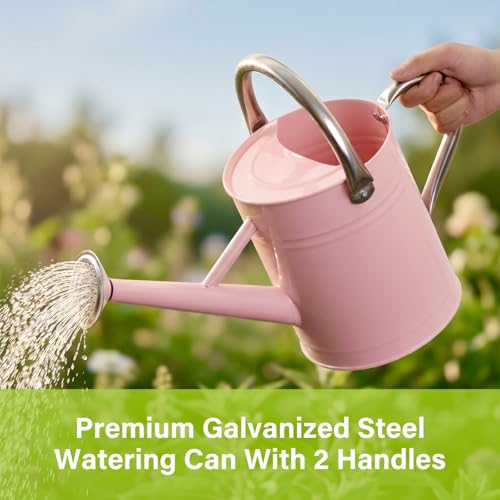 1 Gallon Watering Can for Outdoor&Indoor Plants，Pink - color: Pink