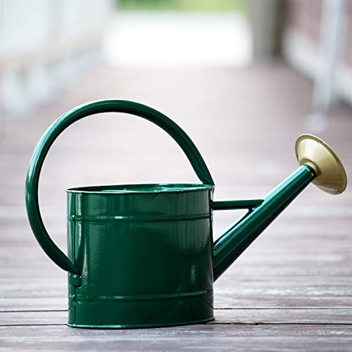 1.3 Gallon Jade Green Metal Watering Can, Removable Spout - color: Green, size: 1.3 Gallon