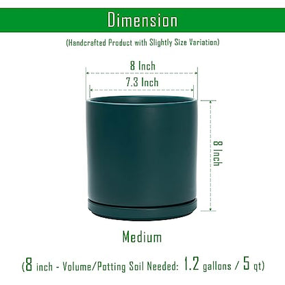 D'vine Dev 8 Inch Ceramic Planter Pot, Teal, 94-O-D-9 - color: Teal, size: Medium