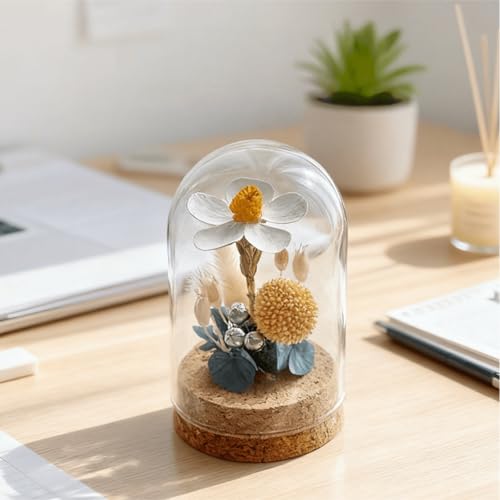 2 PCS Mini Glass Dome Bell Jar with Cork Base (1.97x2.76 Inch) - size: 1.97x2.76inch