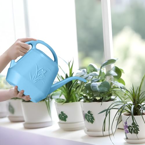 Plastic Watering Can - SkyBlue Color - 1 Gallon - color: Skyblue
