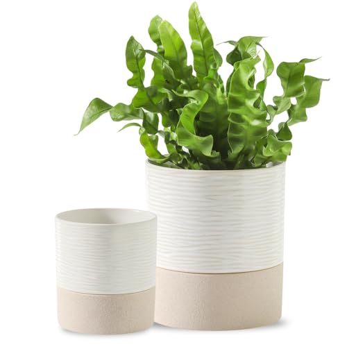 Nihow Ceramic Self Watering Plant Pot for Indoor Plants, 4.5+6 Inch - color: Cream White & Brown, size: 4.5"+6" Self Watering