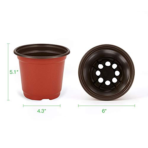 JERIA 200 Pack 6 Inch Plastic Nursery Pots Comewith Drainage Holes, Seedling Flower Plant Container and Seed Starting Pots with 200 Pcs Labels - size: 6 Inch