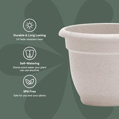 Bloem Ariana 12" Plastic Self-Watering Planter, Vanilla Bean, 2-Pack - color: Vanilla Bean, size: 12" (Pack of 2)