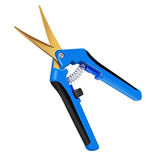 iPower GLPRNR6BLTI 6.5" Pruning Shear Hand Pruner for Gardening Potting with Titanium Coated Curved Precision Blades, 1-Pack, Blue - size: 1Pack, style: Blue