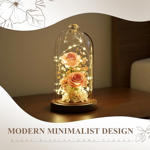 Suclain 1 Pcs 6 x 10 Inch Cloche Glass Dome with Base Bell Jar, Dark Brown - color: Dark Brown