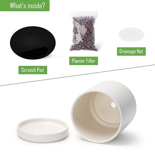 D'vine Dev 2-Pack Ceramic Pots with Saucers, Oatmeal, 6.5 in, 94-V-C-8 - color: Oatmeal, size: 6 Inch