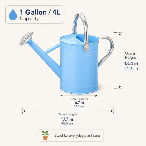 1 Gallon Metal Watering Can for Indoor Outdoor Plants, Blue - color: Blue