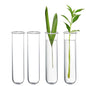 XXXFLOWER Glass Propagation Stations Accessories 4 Tube Vases - size: Size B