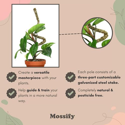 Mossify Bendable Moss Pole, 3 Pack, Assorted 16/30/42'', Forest Moss