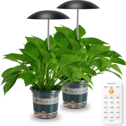 Smart LED Grow Light for Indoor Plants, Programmable Timer and Dim - color: Black