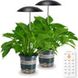 Smart LED Grow Light for Indoor Plants, Programmable Timer and Dim - color: Black