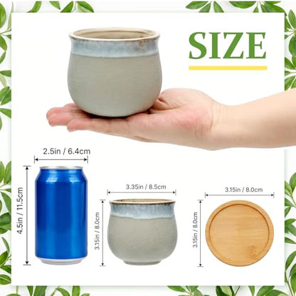 3.5 Inch Succulent Pot with Drainage,Planting/Flower Pots - size: 3.5inch-6pack