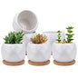 Jucoan 6 Pack Ceramic Succulent Planter Pot with Bamboo Tray, 4 Inch Small White Diamond Shaped Cactus Herb Flowers Planter with Drainage Hole for Indoor Home Office Decor