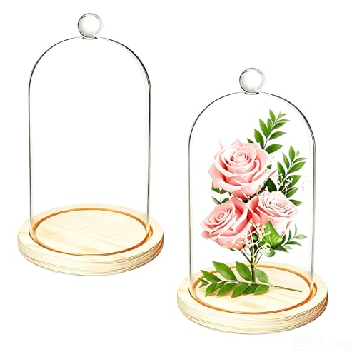 Lyellfe 2 Pack Cloche Glass Dome with Rustic Wooden Base