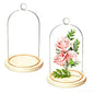 Lyellfe 2 Pack Cloche Glass Dome with Rustic Wooden Base