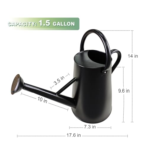 Watering Can for Outdoor&Indoor Plants，1.5 Gallon，Black - color: Black
