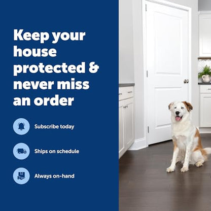 PetSafe SSSCAT Refill Can, 3 Pack - style: Replacement Can - 3-Pack