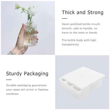SUPMIND 5pcs Glass Bud Vase Set, Clear Small Flower Vases for Centerpieces - color: Clear, size: 5Pcs
