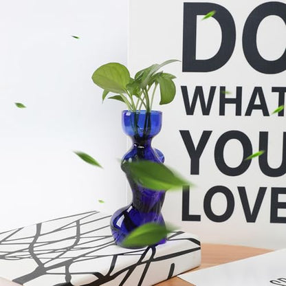 Plant Propagation Jars Unique Body Avocado Vase - color: Blue