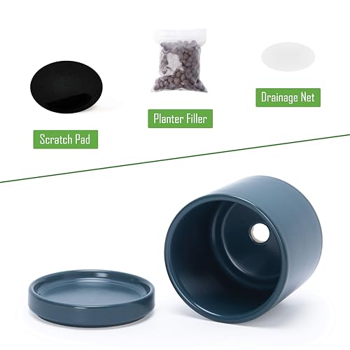 D'vine Dev 4-Pack Ceramic Pots with Saucers, Teal, 3.5 in, 94-X-A-9 - color: Teal, size: 3.5 Inch
