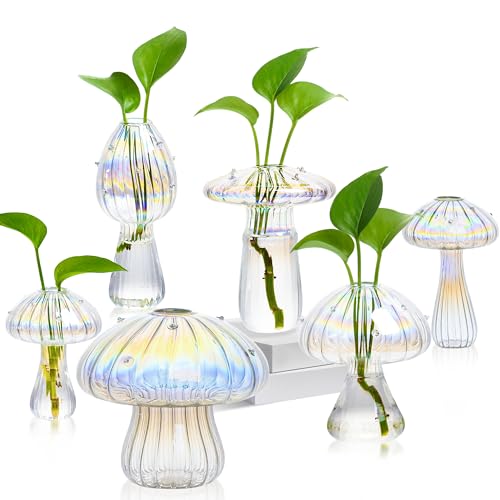 Plant Propagation Station, Set of 6 Clear Glass Mushroom Vase - color: Clear