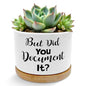 But Did You Document It Funny Plant Pots Succulent Planters - color: Style C